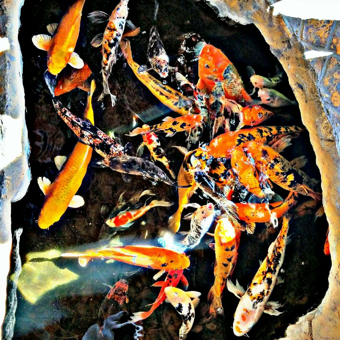 PicsArt_03-11-05.19.03