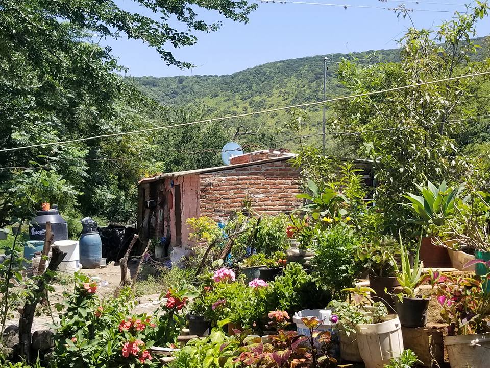 21731038_10155576842167319_8281624308404114007_n